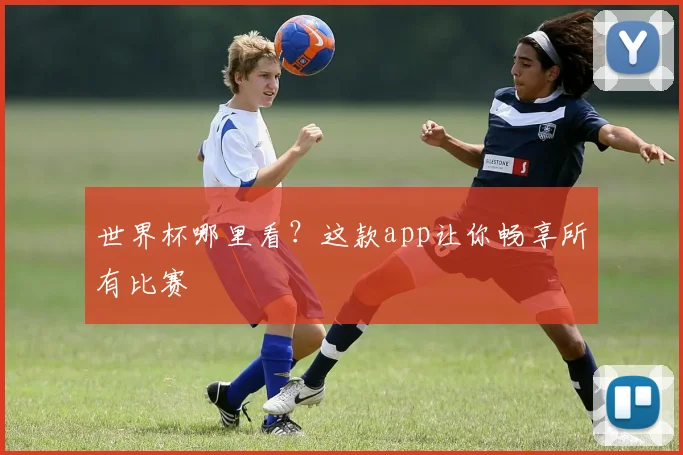 世界杯哪里看？这款app让你畅享所有比赛